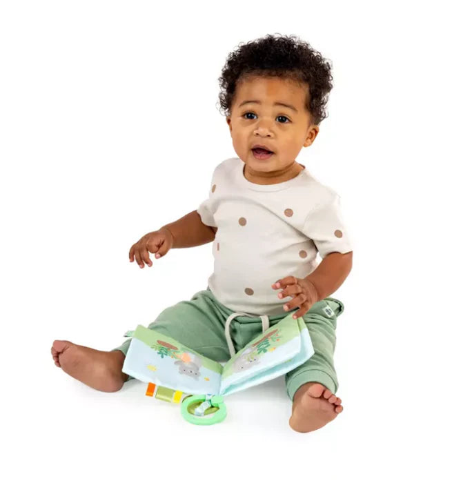 Ingenuity Soft Book Nate