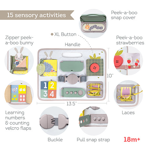 Taf Activity Buckles Board