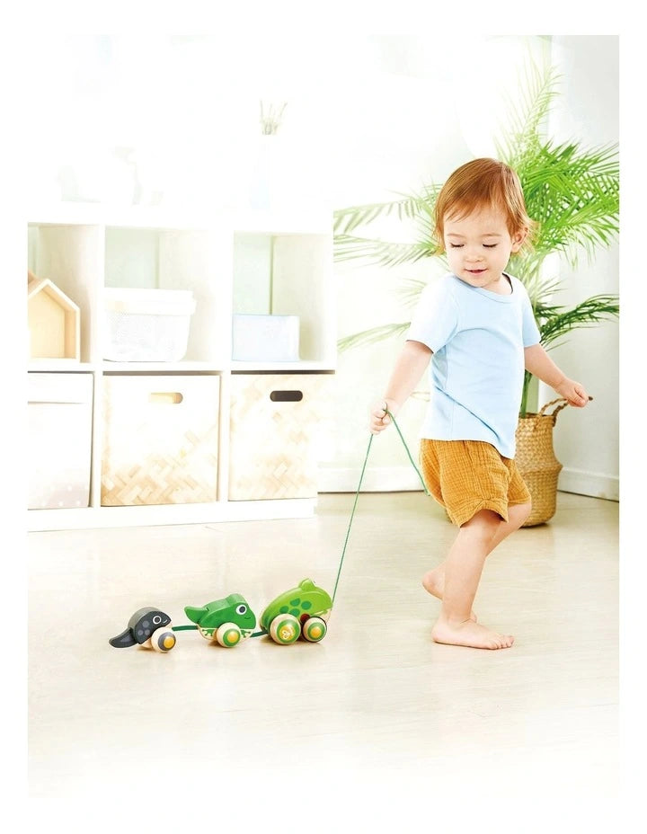Hape Pull Along Frog Family