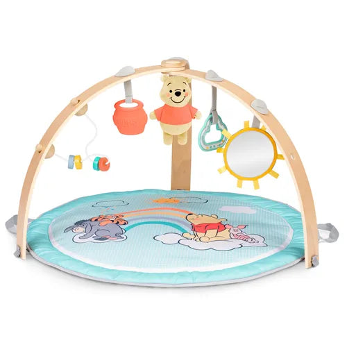 Baby Einstein Winnie The Poo Honey Hangout
