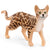 SC13918 Schleich Bengal Cat