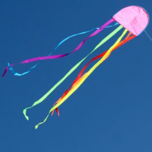 Jellyfish Kite