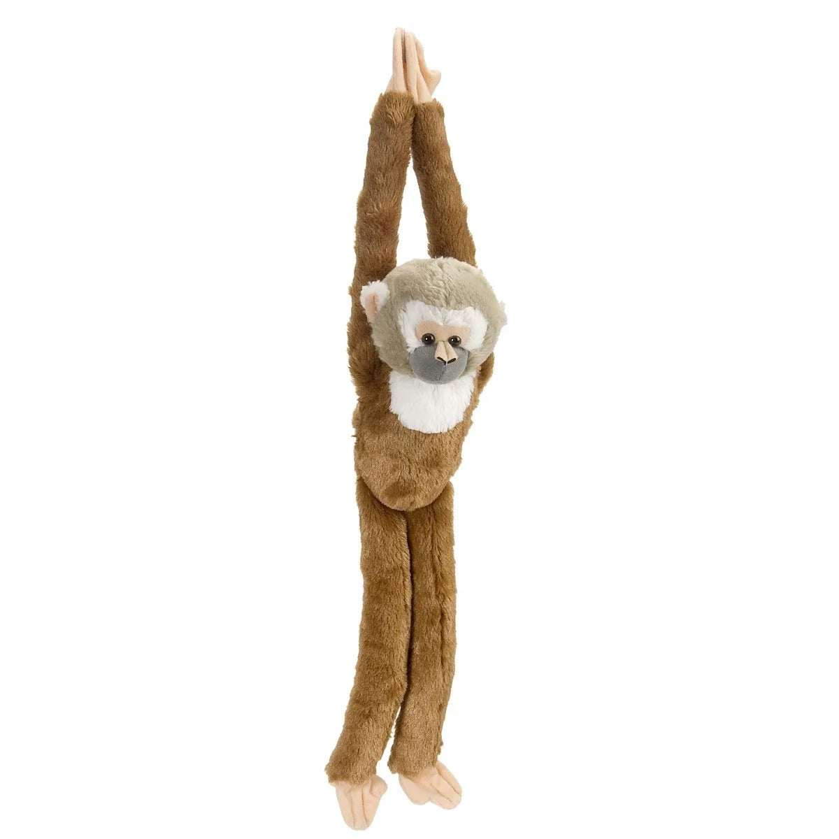 Hanging Monkey Squirrel Monkey 20
