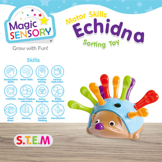 Magic Sensory Motor Skills Echidna Sorting Toy