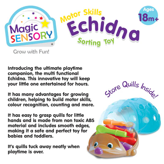 Magic Sensory Motor Skills Echidna Sorting Toy