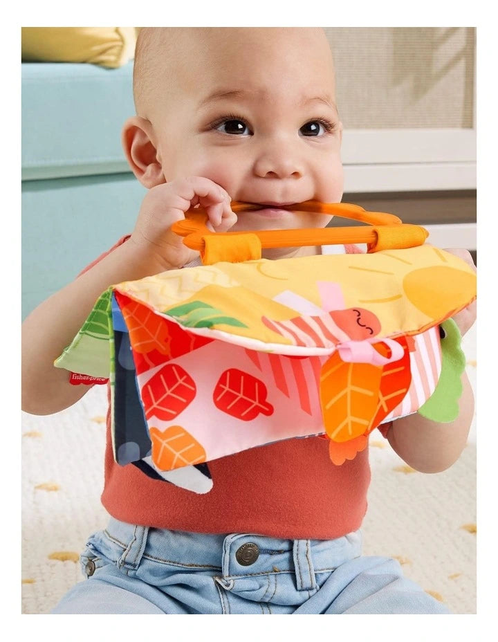 Fisher Price Sensory Seasons Soft Book