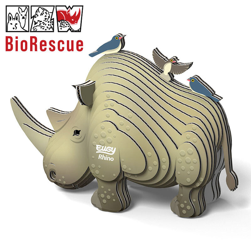 Eugy Cardboard Model Kit Rhino