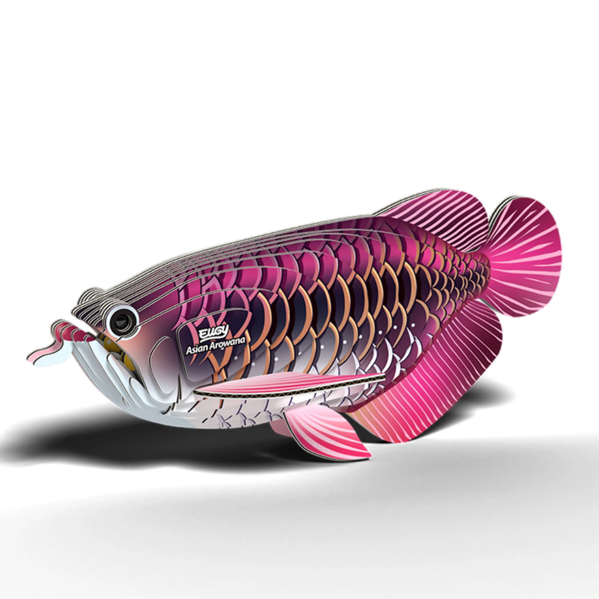 Eugy Cardboard Model Kit Asian Arowana