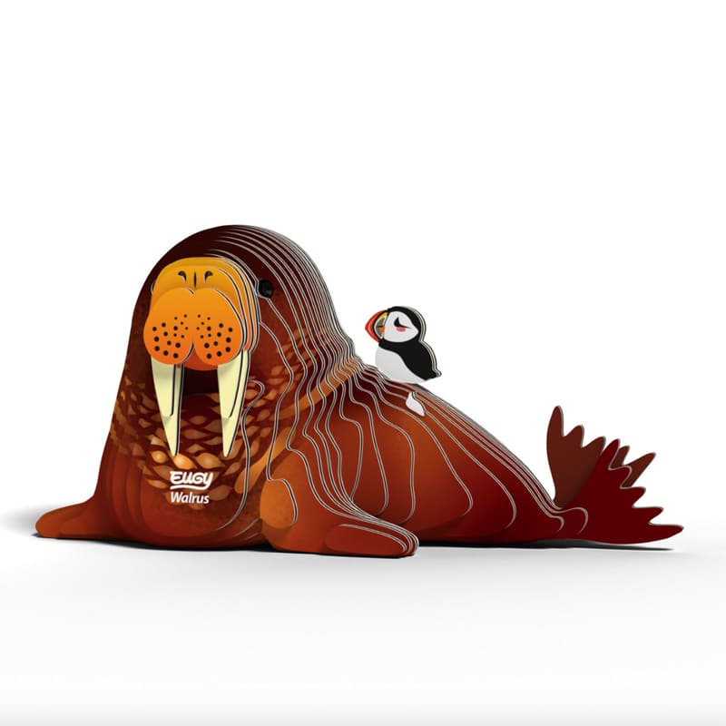 Eugy Cardboard Model Kit Walrus