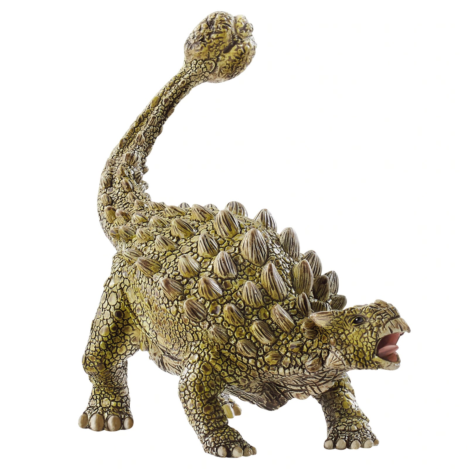 SC15023 Ankylosaurus