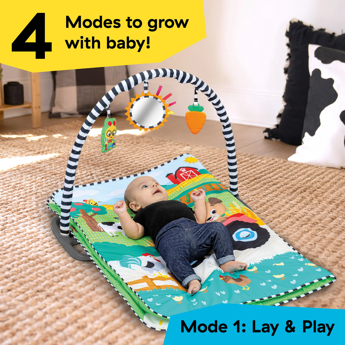 Baby Einstein Farm Explorers Busy Barnyard
