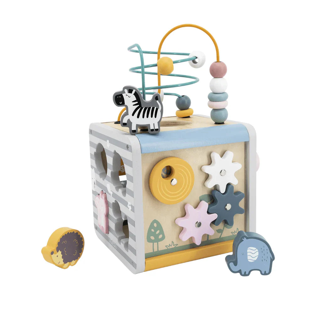 PolarB 5 in 1 Wooden Activity Box