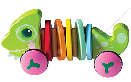 Bubbadoo Pull Along Animals - Gecko