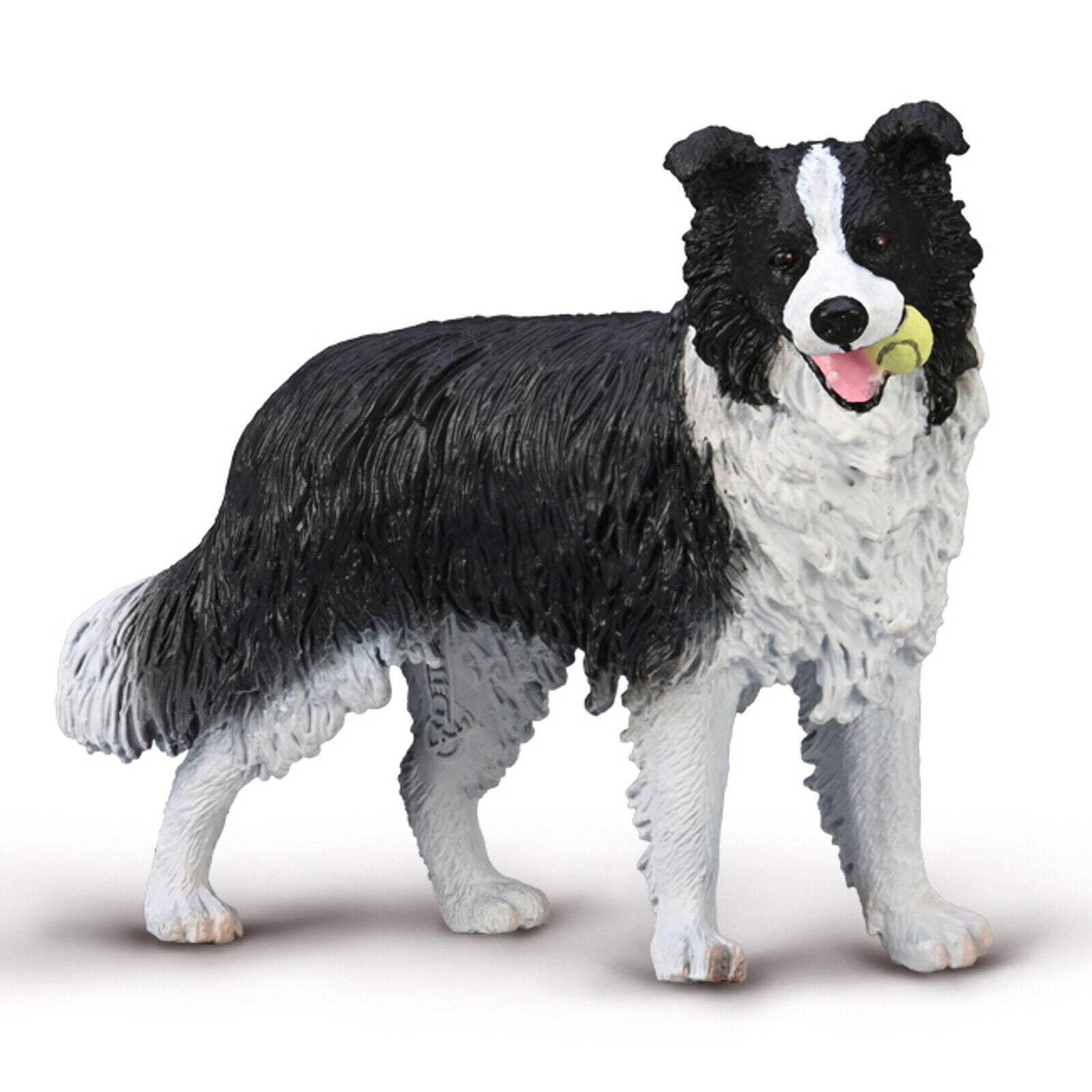 Co80012 Border Collie with Tennis Ball
