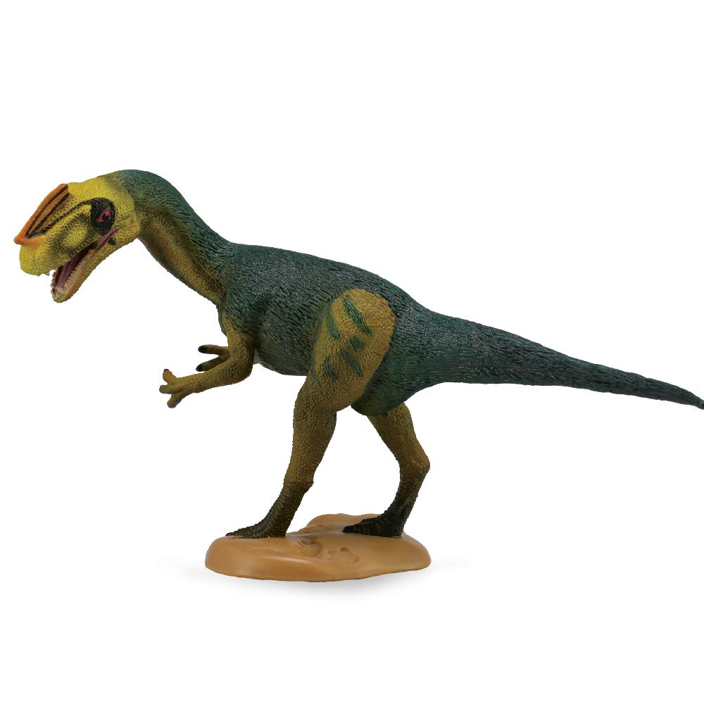 Co88504 Proceratosaurus