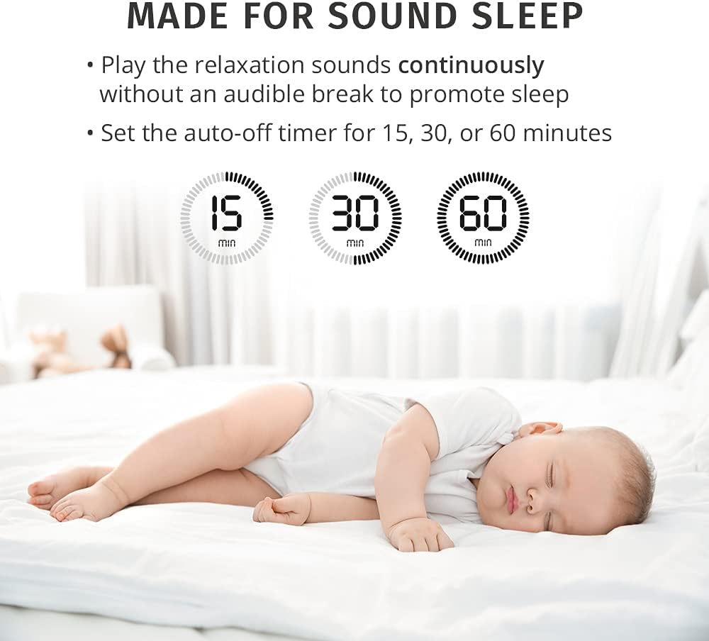 Sound Spa Portable AC Adaptor or 4 AA Batteries