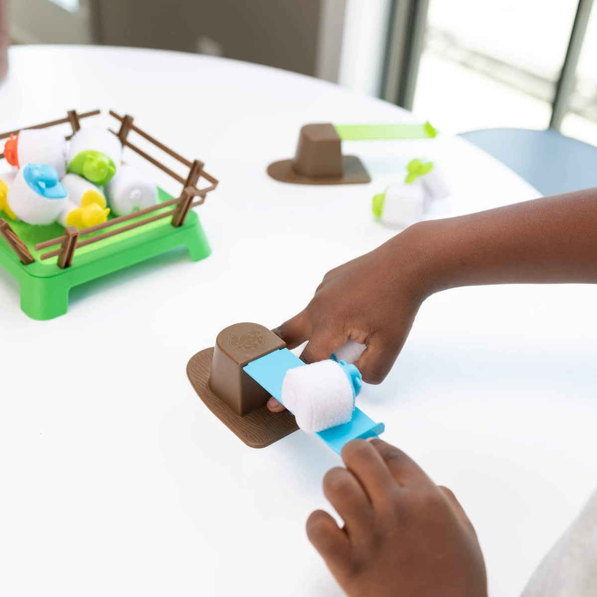 Fat Brain Heap of Sheep