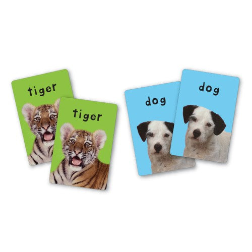 First 100 Animals Matching Card Game