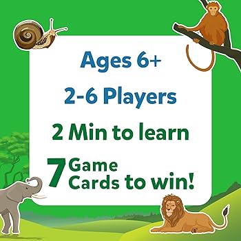 Skillmatics Guess In 10 Animal Kingdom