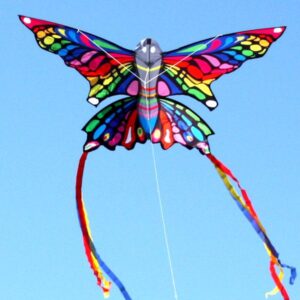 Rainbow Butterfly Single String Kite