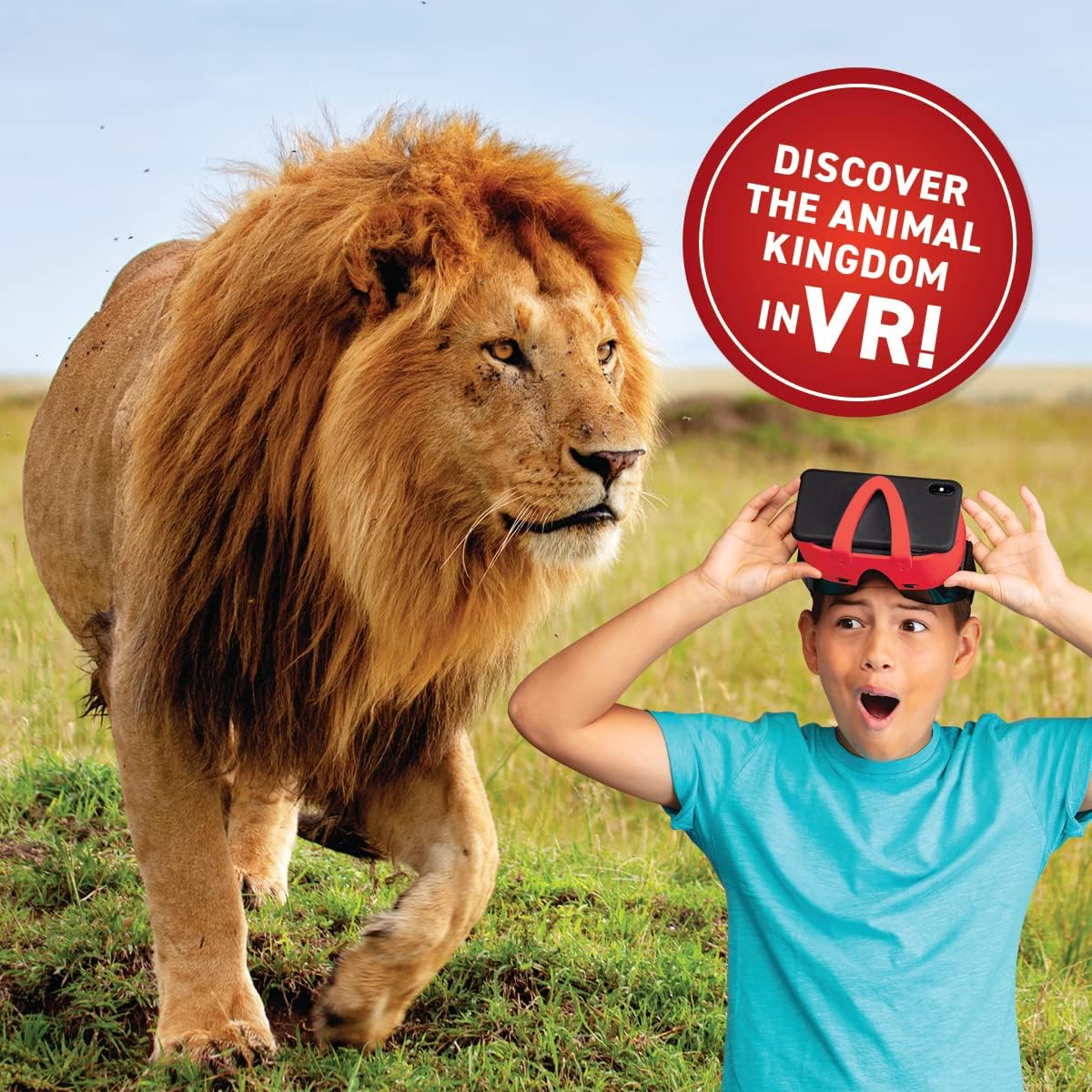 Virtual Reality Gift Box Animals