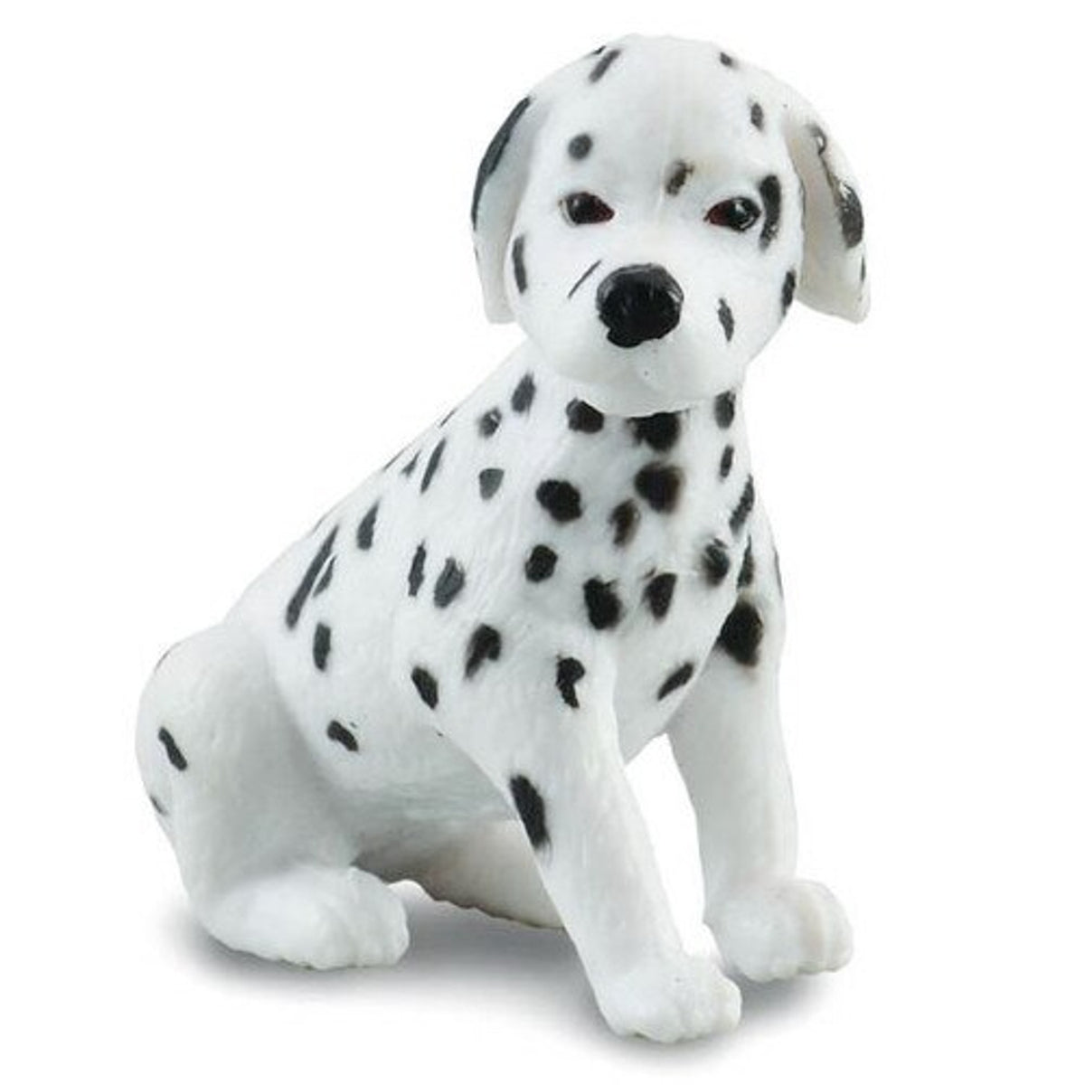 Co88073 Dalmation Puppy