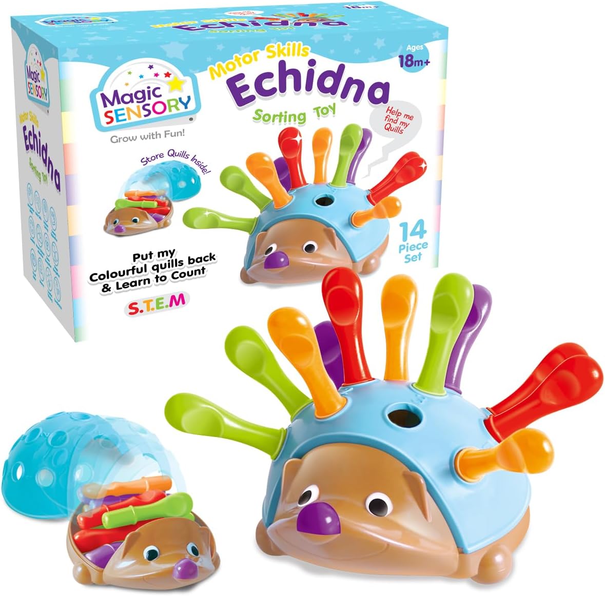 Magic Sensory Motor Skills Echidna Sorting Toy