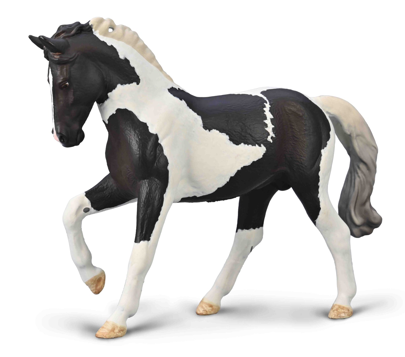 Co80027 Warmblood Stallion - Black Tobiano