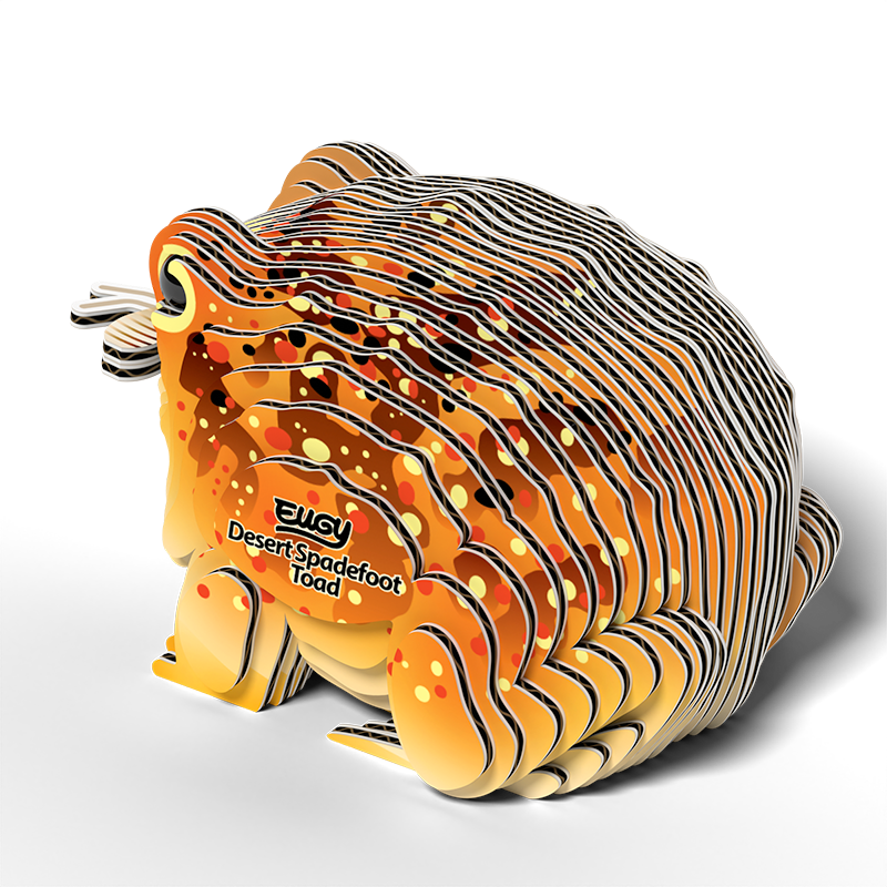 Eugy Cardboard Model Kit Desert Spadefoot Toad