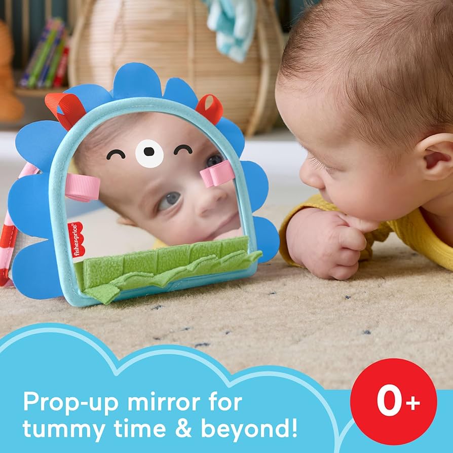 Fisher Price Prop N Go Portable Mirror