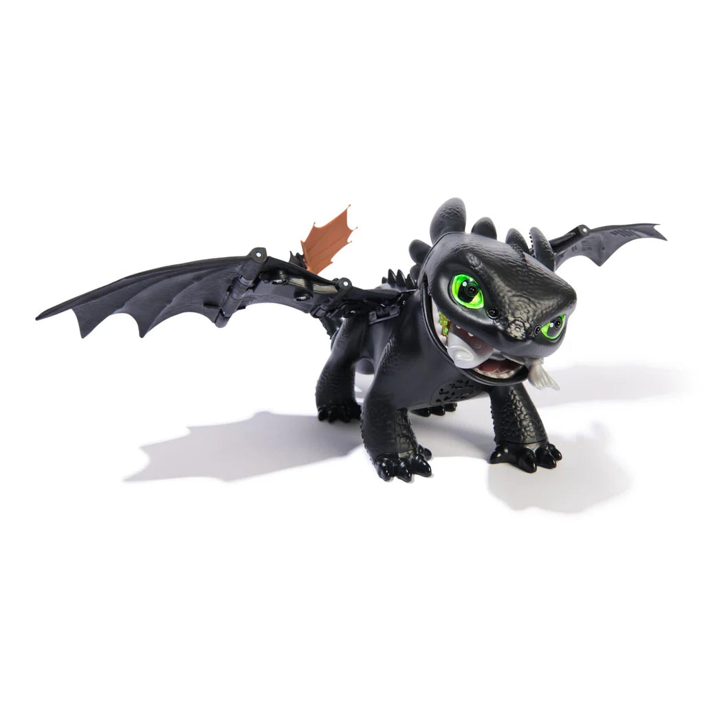 How To Train Your Dragon Tame and Train Interactive TOOTHLESS