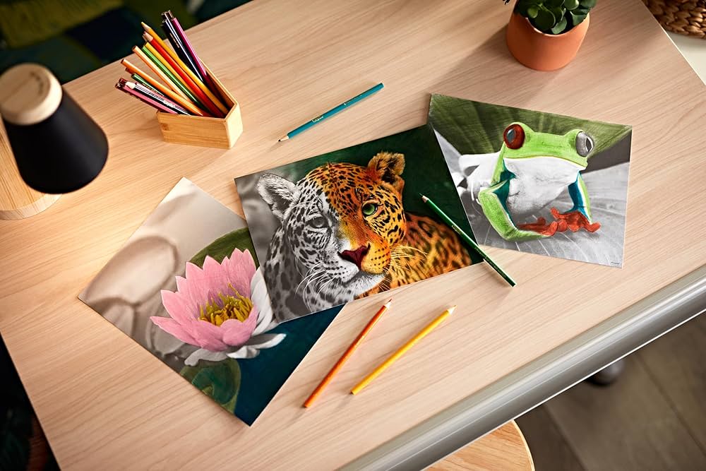 Crayola HD Colouring Kit