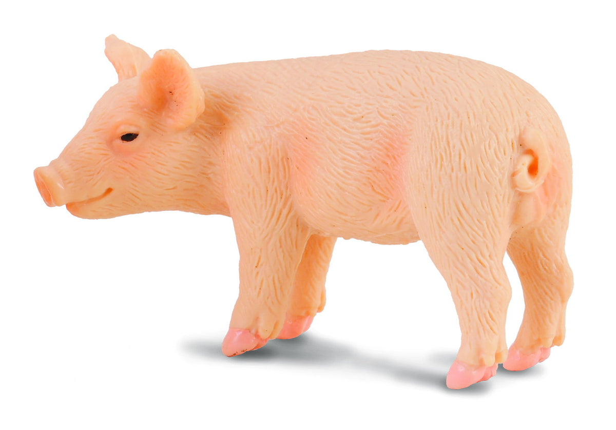 Co88063 Piglet Standing