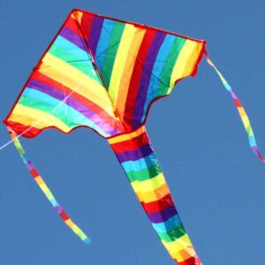 Small Rainbow Delta Kite