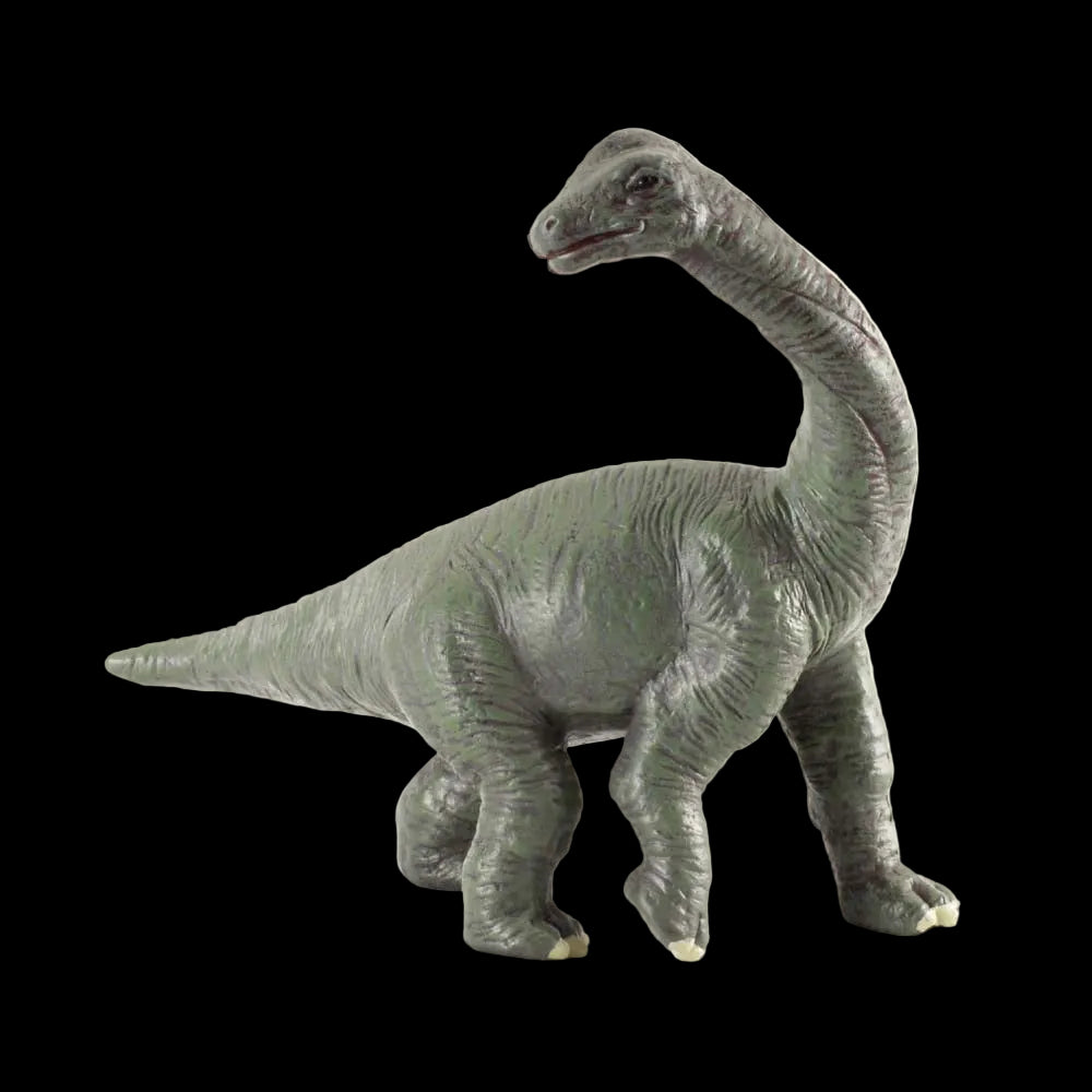 Co88200 Brachiosaurus Baby