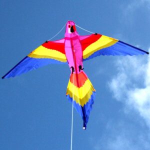 Lorikeet Single String Kite
