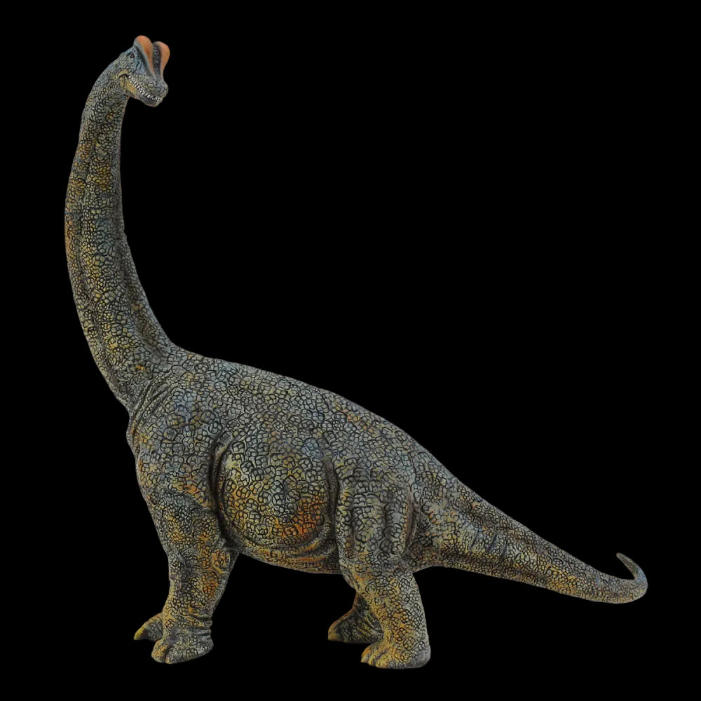 Co88405 Brachiosaurus