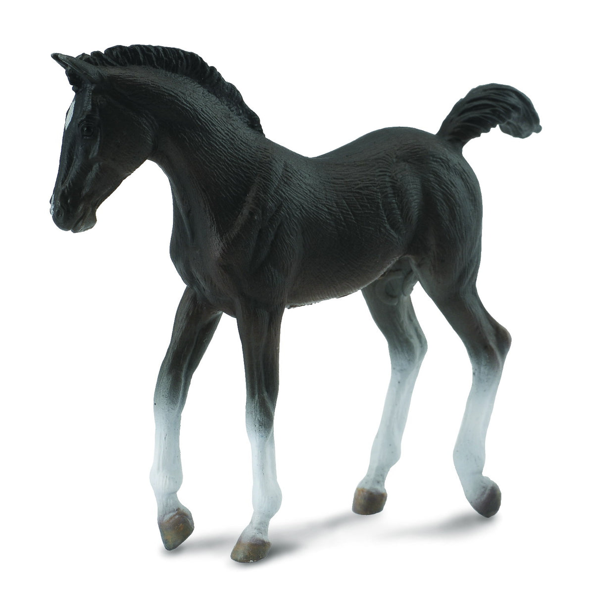 Co88452 Tennessee Walking Horse Foal Black
