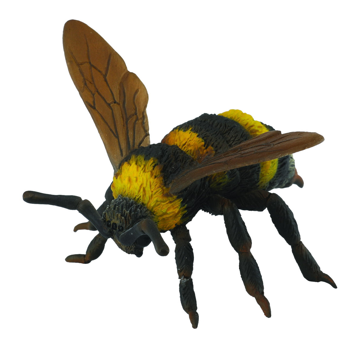 Co88499 Bumble Bee