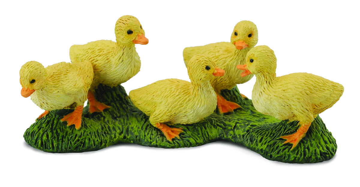 Co88500 Ducklings
