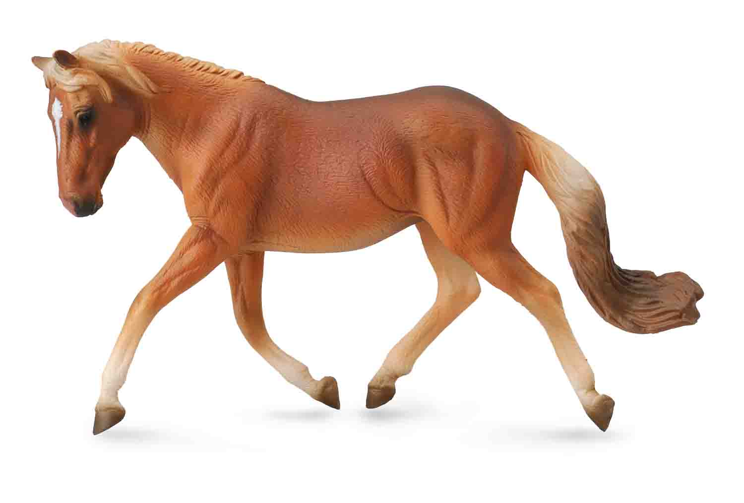 Co88519 Haflinger Mare