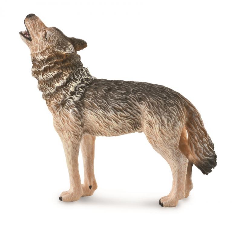 Co88844 Timber Wolf Howling