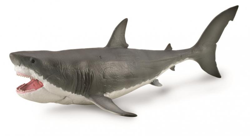Co88887 Megalodon with Movable Jaw - Deluxe 1/40 Scale