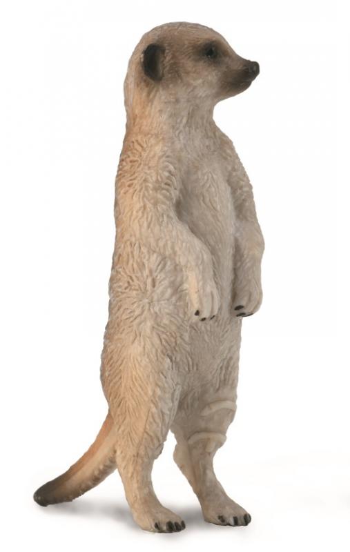 Co88913 Meerkat (Standing)