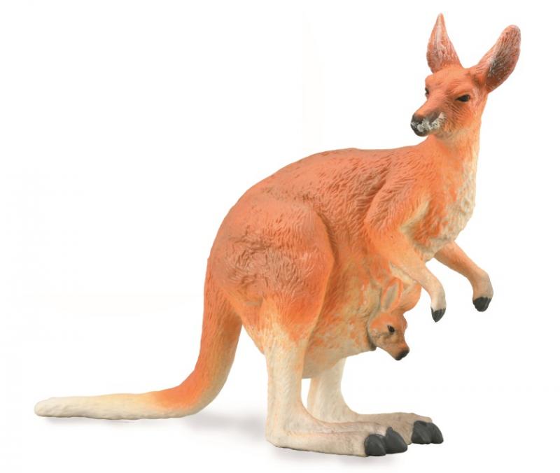 CO88921 Red Kangaroo Female with Joey