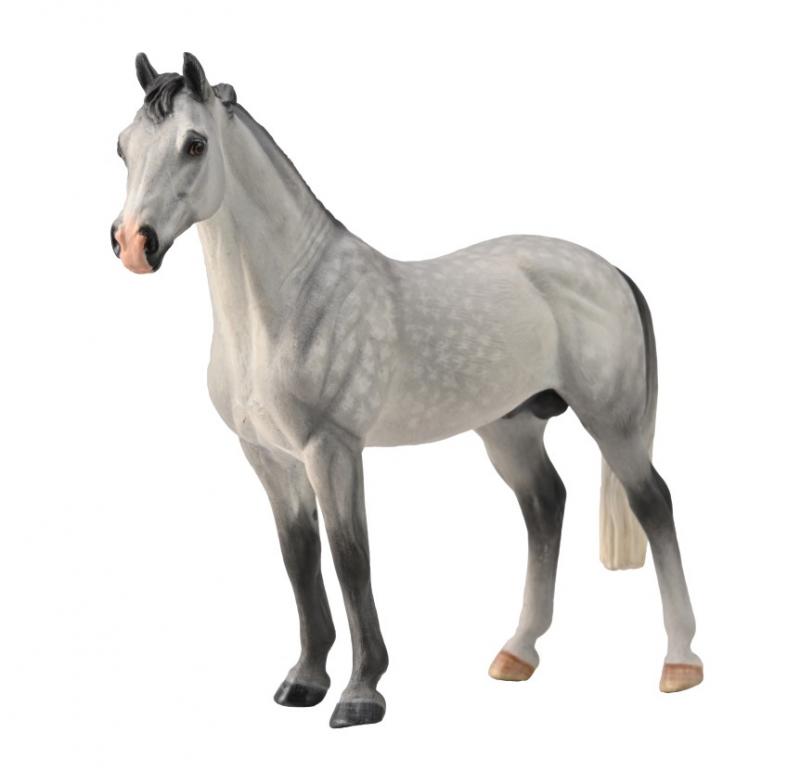 CO88957 Hanoverian Stallion Dappled Grey