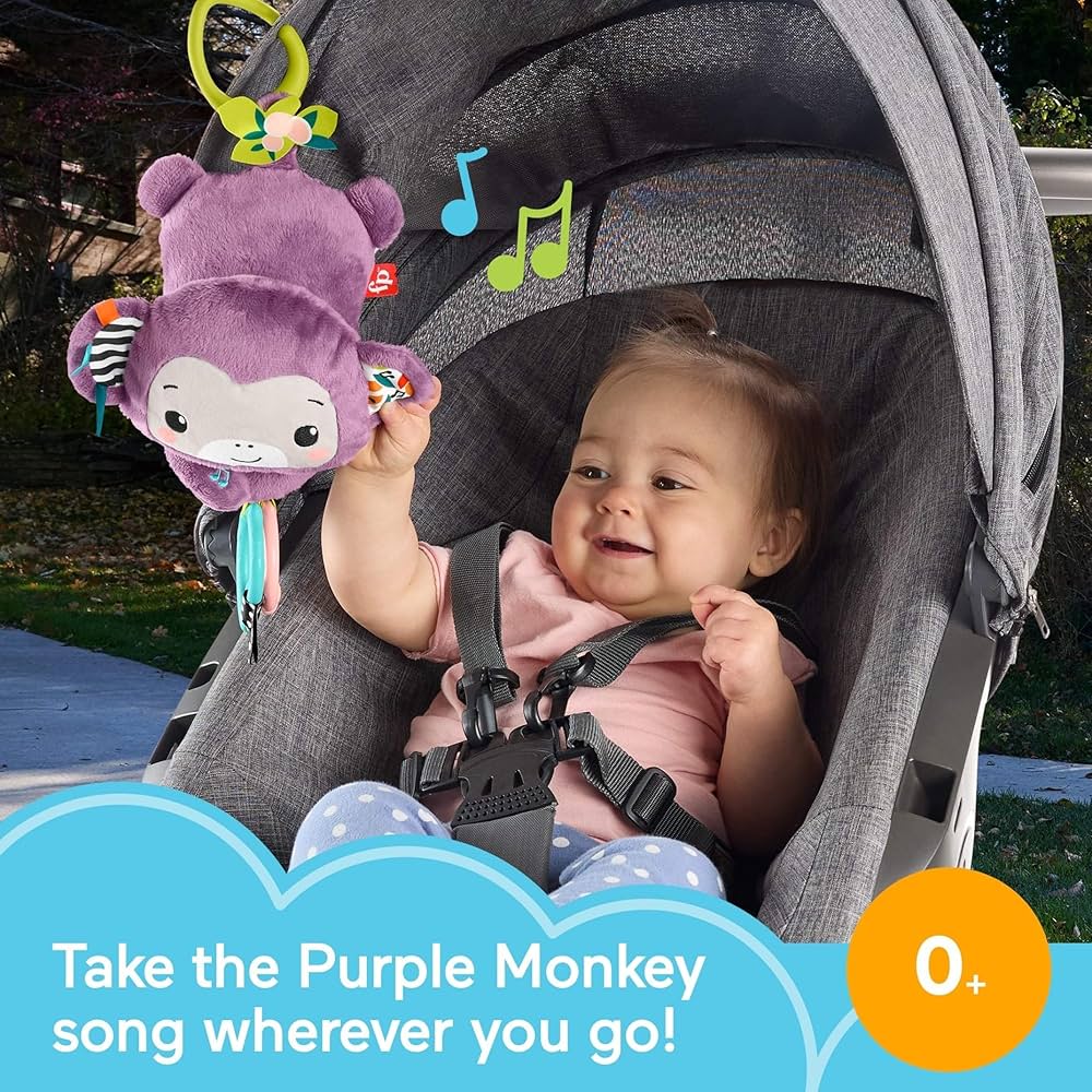 Fisher Price Sing &amp; Go Purple Monkey