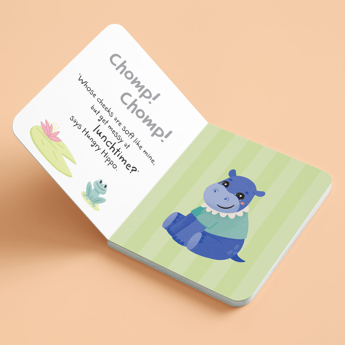 First Steps Hello Baby! Mirror Book