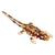 Animals Of Australia Large Thorny Devil