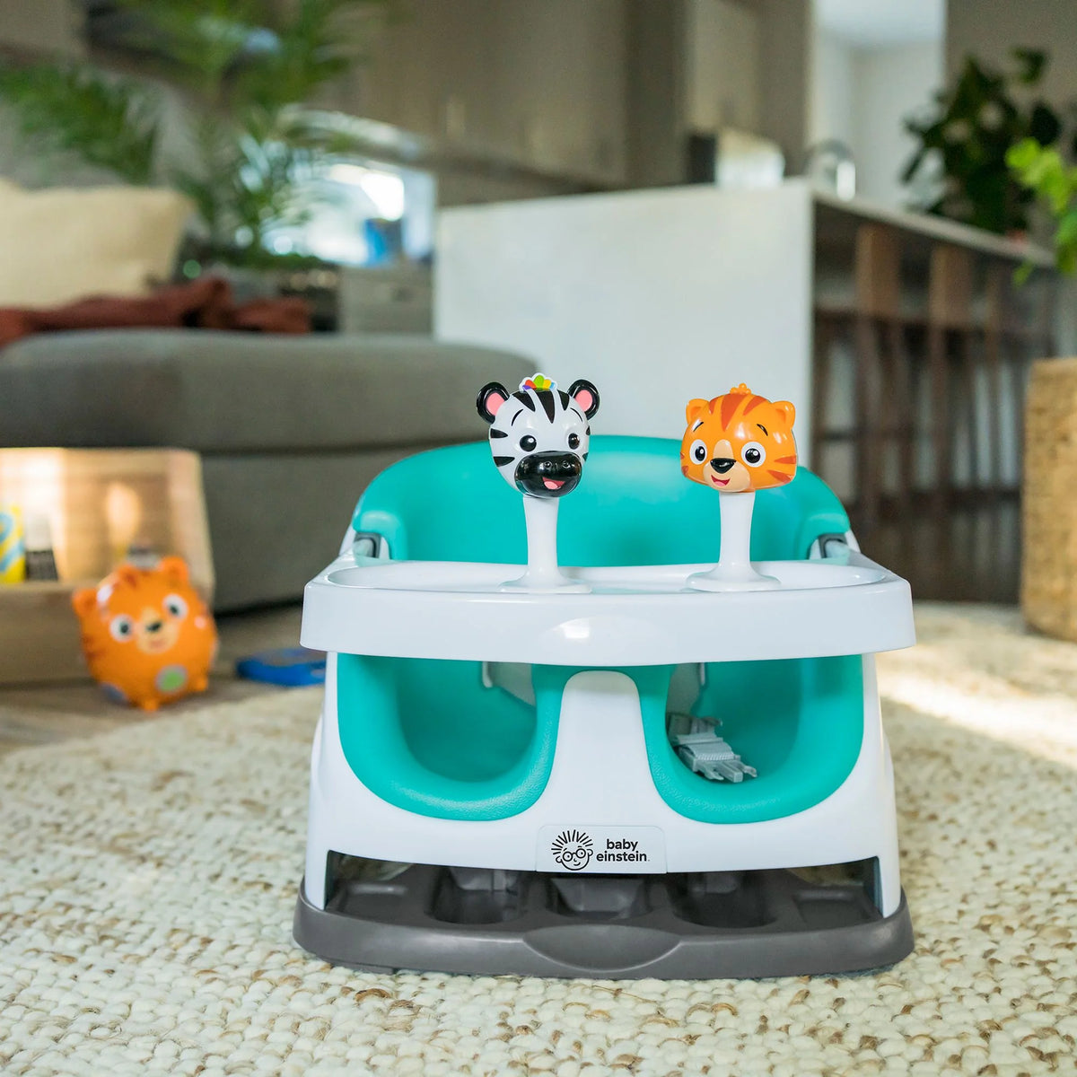 Baby Einstein Dine &amp; Discover Multi Use Booster Seat 6-36 months